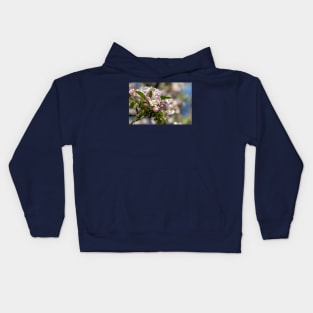 apple blossoms Kids Hoodie